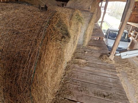 Eladó lucerna bála Eladó lucerna bála