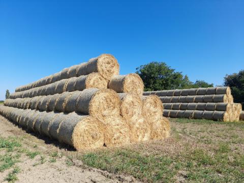 Szalma előjegyezhető a 2026-os szezonra