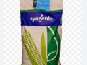 Syngenta SY Ozone kukorica vetőmag - FAO: 330-340