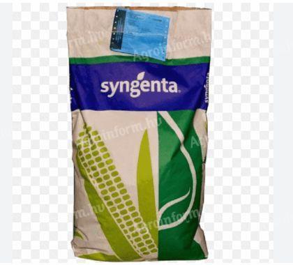 Syngenta SY Ozone kukorica vetőmag - FAO: 330-340