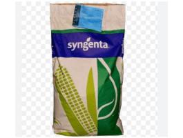 Syngenta SY Ozone kukorica vetőmag - FAO: 330-340