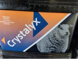 Crystalyx Garlyx / Fokhagymás nyalótál
