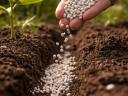 AgroCAlC G Granulált műtrágya mész - vezető a kalcium műtrágyák között