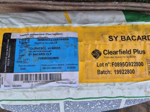 Syngenta Bacardi napraforgó vetőmag eladó Syngenta Bacardi napraforgó vetőmag eladó