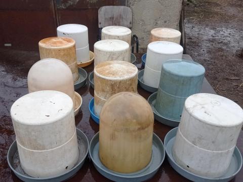 12 db kúpos műanyag itató eladó Kiskunfélegyházán 12 db kúpos műanyag itató eladó Kiskunfélegyházán