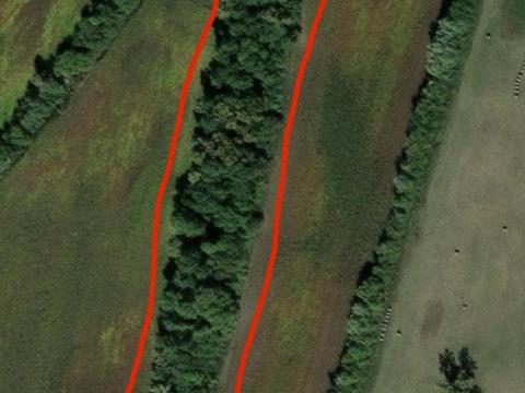 Erdősáv eladó Kistamásiban