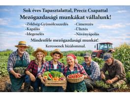 Mezőgazdasági munkákat vállalunk