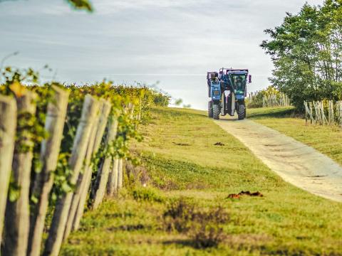 Mezőgazdasági gépkezelő, traktoros, szőlőkombájnos Mezőgazdasági gépkezelő, traktoros, szőlőkombájnos