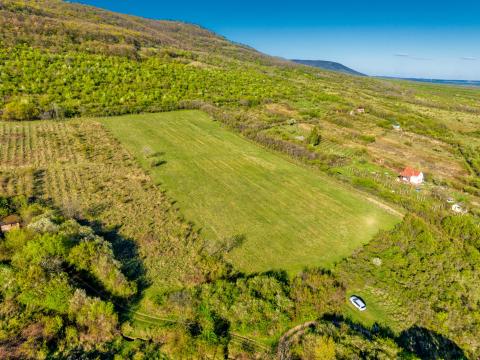Zárt kert Pálosvörösmarton erdővel Zárt kert Pálosvörösmarton erdővel