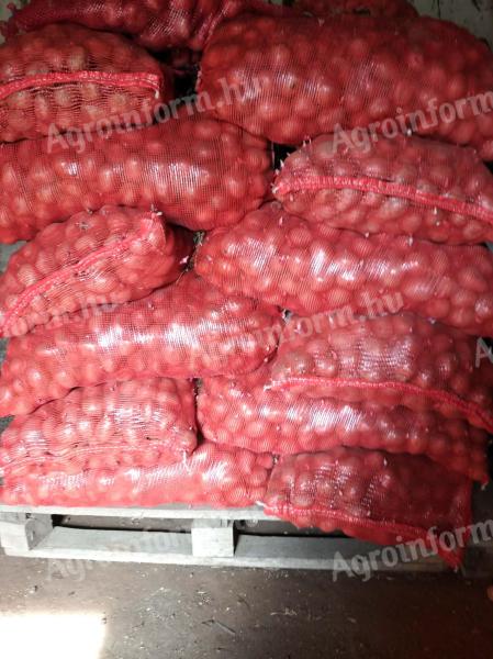 Vetőburgonya eladó