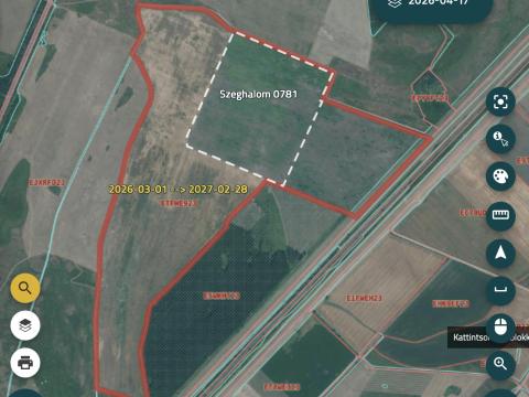 Szántóföld eladó Szeghalom külterületén