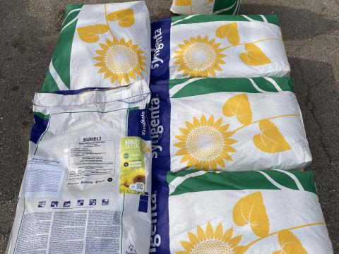 Syngenta Sureli napraforgó vetőmag