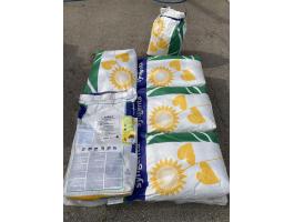 Syngenta Sureli napraforgó vetőmag