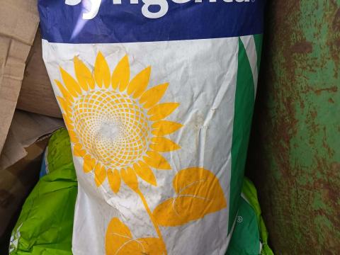 Napraforgó vetőmag syngenta sureli