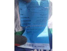 Napraforgó vetőmag syngenta sureli