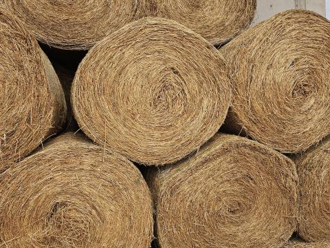 Lucerna bálák eladók