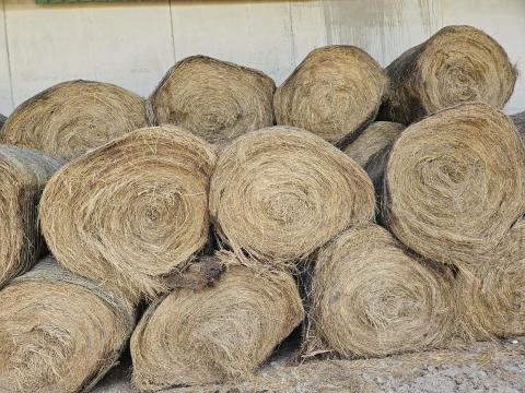 Szénabálák eladók