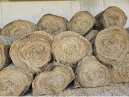 Szénabálák eladók