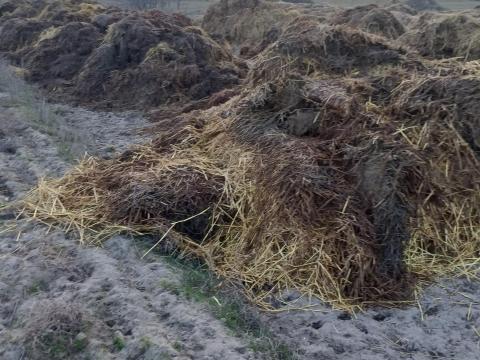 Baromfitrágya eladó