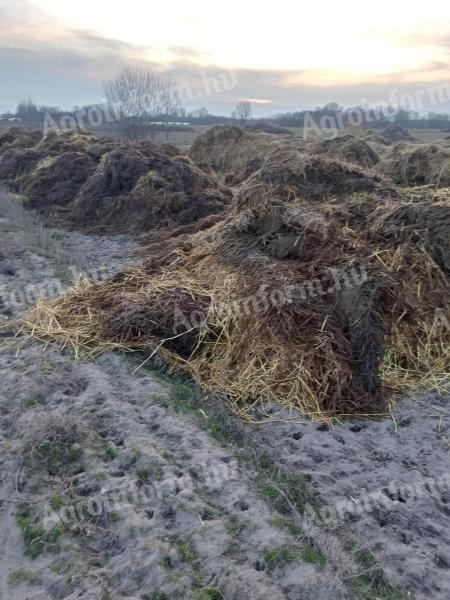 Baromfitrágya eladó