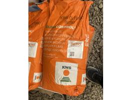 Kukorica vetőmag Kws Oltenio 4 zsák