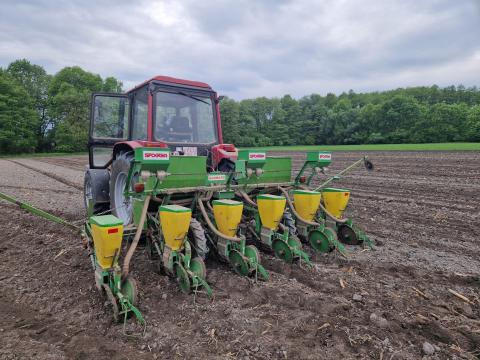 Sfoggia szemenkénti vetőgép