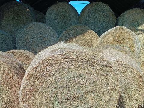 Eladó 150-es lucernabála