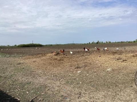 GYOMAENDRŐD külterületén mezőgazdasági területeket kínálok megvételre