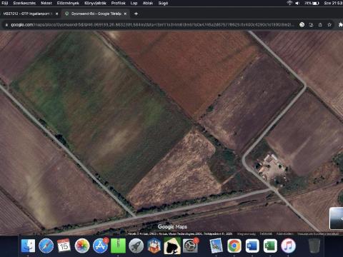 Mezőgazdasági terület