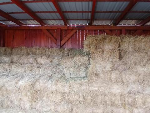 Réti széna lucerna vegyes bála  kiskocka kisbála eladó