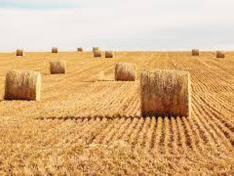 Szalma és széna körbálát vásárolnék