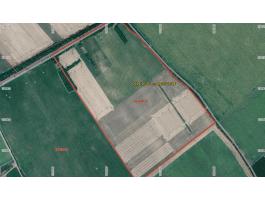 Eladó szántóföldek Balatonszabadiban