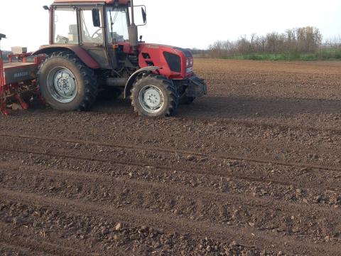 MTZ 952.4 új gumival adásvételivel