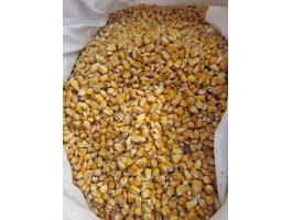 Kukorica eladó
