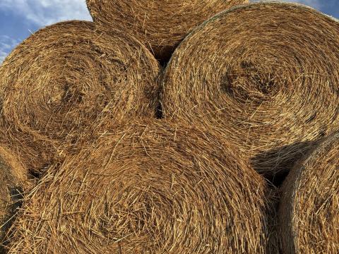 Szalma bála eladó ( búza,  árpa,  tritikálé)