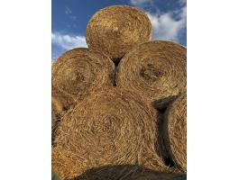 Szalma bála eladó ( búza,  árpa,  tritikálé)