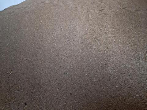 Takarmány rozs eladó