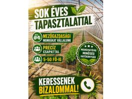 Mezőgazdasági munkákat vállalunk