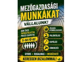 Mezőgazdasági munkákat vállalunk sokéves tapasztalattal