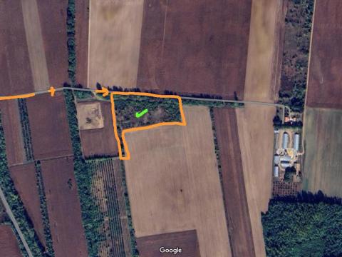 2,3 ha gyümölcsös eladó