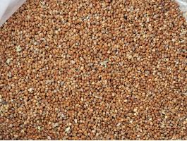 Vörös Muhar,  Vörös Muharmag Eladó Postai Utánvétellel