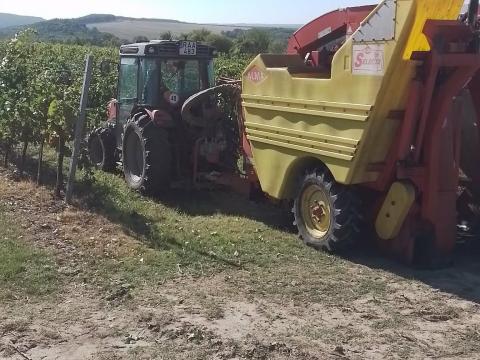 Messey ferguson 3635 S + ALMA SELECTA XL