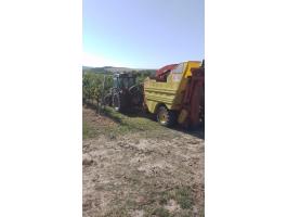 Messey ferguson 3635 S + ALMA SELECTA XL