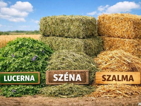 Lucernát, szénát, szalmát vennék