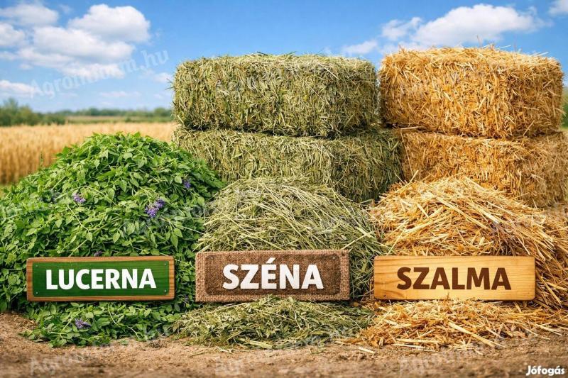 Lucernát, szénát, szalmát vennék