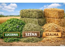 Lucernát, szénát, szalmát vennék