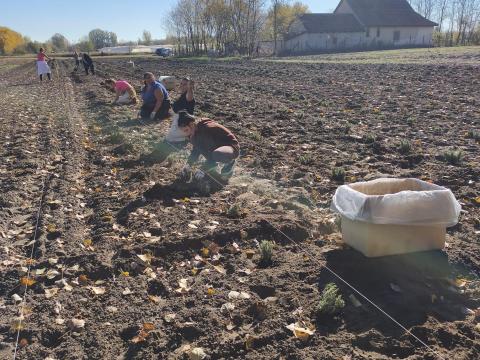 Mezőgazdasági munkákat vállalunk