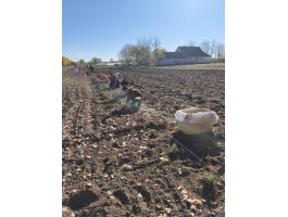 Mezőgazdasági munkákat vállalunk