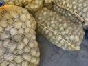 Vető méretű burgonya eladó