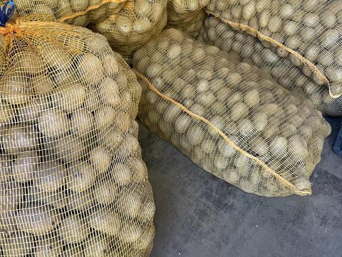 Vető méretű burgonya eladó